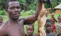 国外吃瓜爆料恐怖事件,国外吃瓜爆料恐怖事件始末